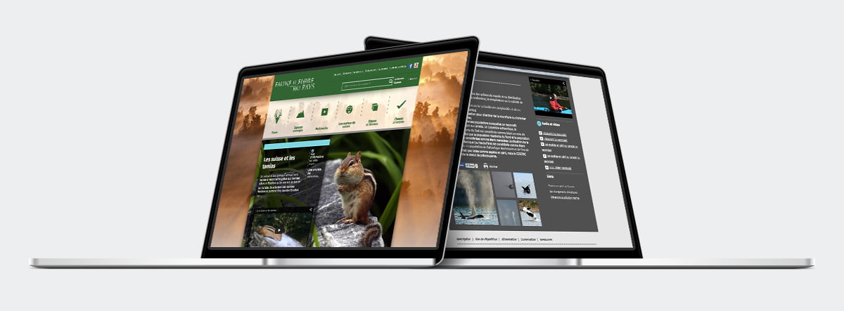 Faune et flore du pays - Site Web - Faune et flore du pays