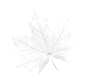 Gouvernement du Canada | Government of Canada | EN578-133360/001/CX