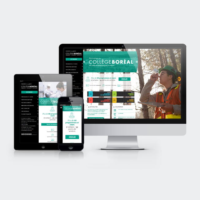 Collège Boréal – Site Web